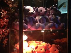 iphone_upload_pic-湘爵士(王府井百货黄兴中路店)
