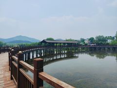 -石塘人家