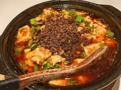 -陈麻婆豆腐(春熙店)
