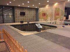 -和园景逸大酒店朗月汤泉
