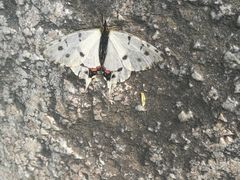 -碓臼峪自然风景区