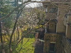 -良渚君澜度假酒店·中餐厅