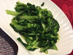 时令蔬菜-云中小雅