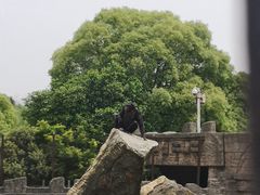 -南昌动物园
