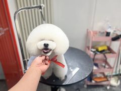 -宠物家(双井店)