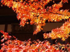 -常寂光寺