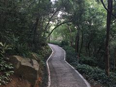 -仙岳公园