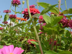 -长春世界雕塑园冰雪艺术天地