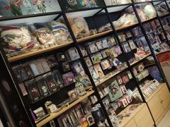 -IPSTAR|潮玩星球(天府广场店)