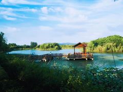 -上海市保健医疗中心