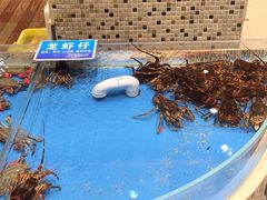 -双井轩(双井店)