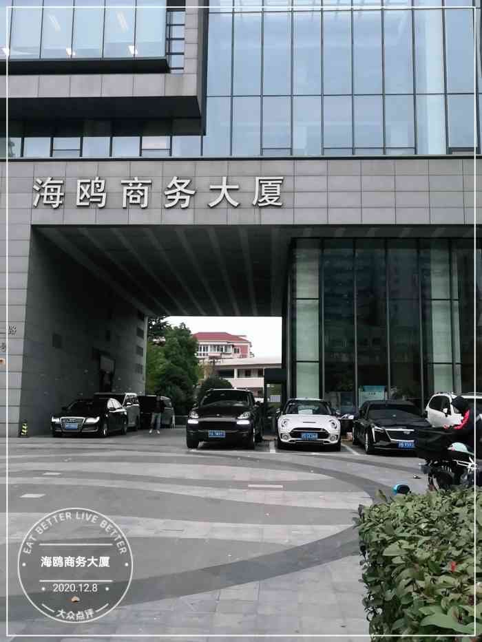 海鸥商务大厦-"很老的酒店,地理位置优越,设施有点旧了.