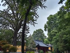 -灵谷景区