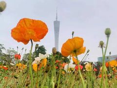 -二沙岛艺术公园
