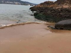 -大王村沙滩