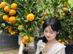 -前小桔亲子创意农场·草莓采摘·露营烧烤