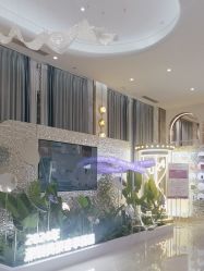 -深圳美莱医疗美容医院