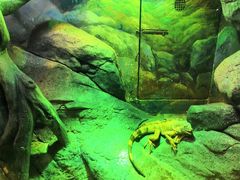 -福州罗源湾海洋世界旅游区