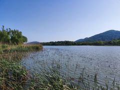 -长广溪湿地公园