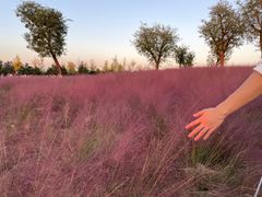 -汉长安城未央宫国家考古遗址公园