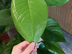 -北纬37°SPA养身会馆(湖西店)