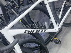 -GIANT捷安特自行车专卖店(金桥台儿庄路店)