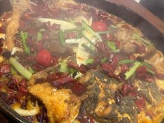 -老板恋上鱼(恒隆广场店)