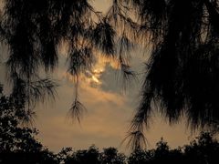 -麦歌什么ktv(固戍店)