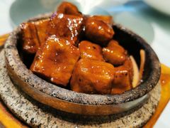 -沪碟·精菜坊(闵行店)