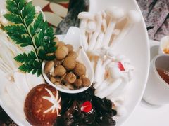 -洪氏嗨捞·广东猪肚鸡·椰子鸡火锅(西咸万象城店)