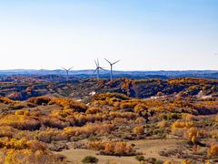 -塞罕坝国家级自然保护区