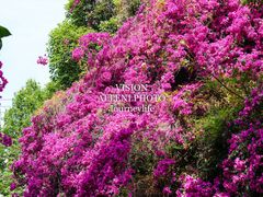 -云南师范大学(一二一西南联大校区)