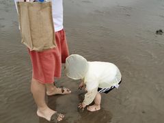 -奉贤海滩