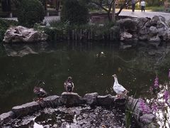 -宣武艺园