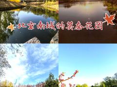 -大兴滨河森林公园