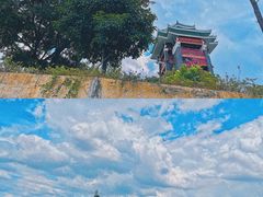 -王借岗森林公园