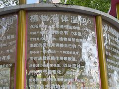 -华山儿童公园