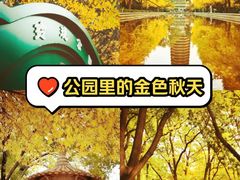 -玲珑塔公园