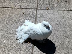 -旅顺博物馆