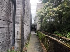 -鹿野苑石刻艺术博物馆