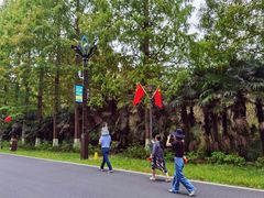 -黄海国家森林公园