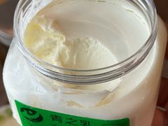 -德禄酸奶(莫家街店)