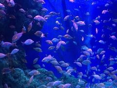 -成都浩海立方海洋公园