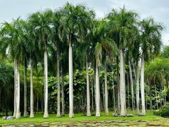 -中国科学院西双版纳热带植物园