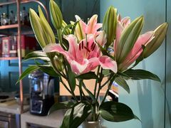 -南堂馆·新川菜(春熙路店)