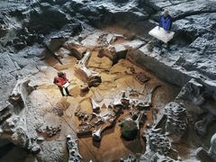 -自贡恐龙博物馆