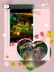 -恐龙探索乐园(磁器口店)