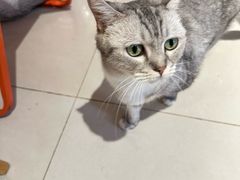 -平行世界·猫咖(首经贸店)