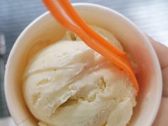 -iceason爱茜茜里·意大利健康冰淇淋(骑龙巷店)