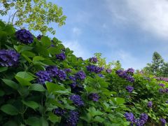 -重庆雨台山风景区